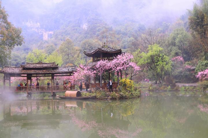 解疑答惑,小学三年级数学,求后面两题答案有问必答平台